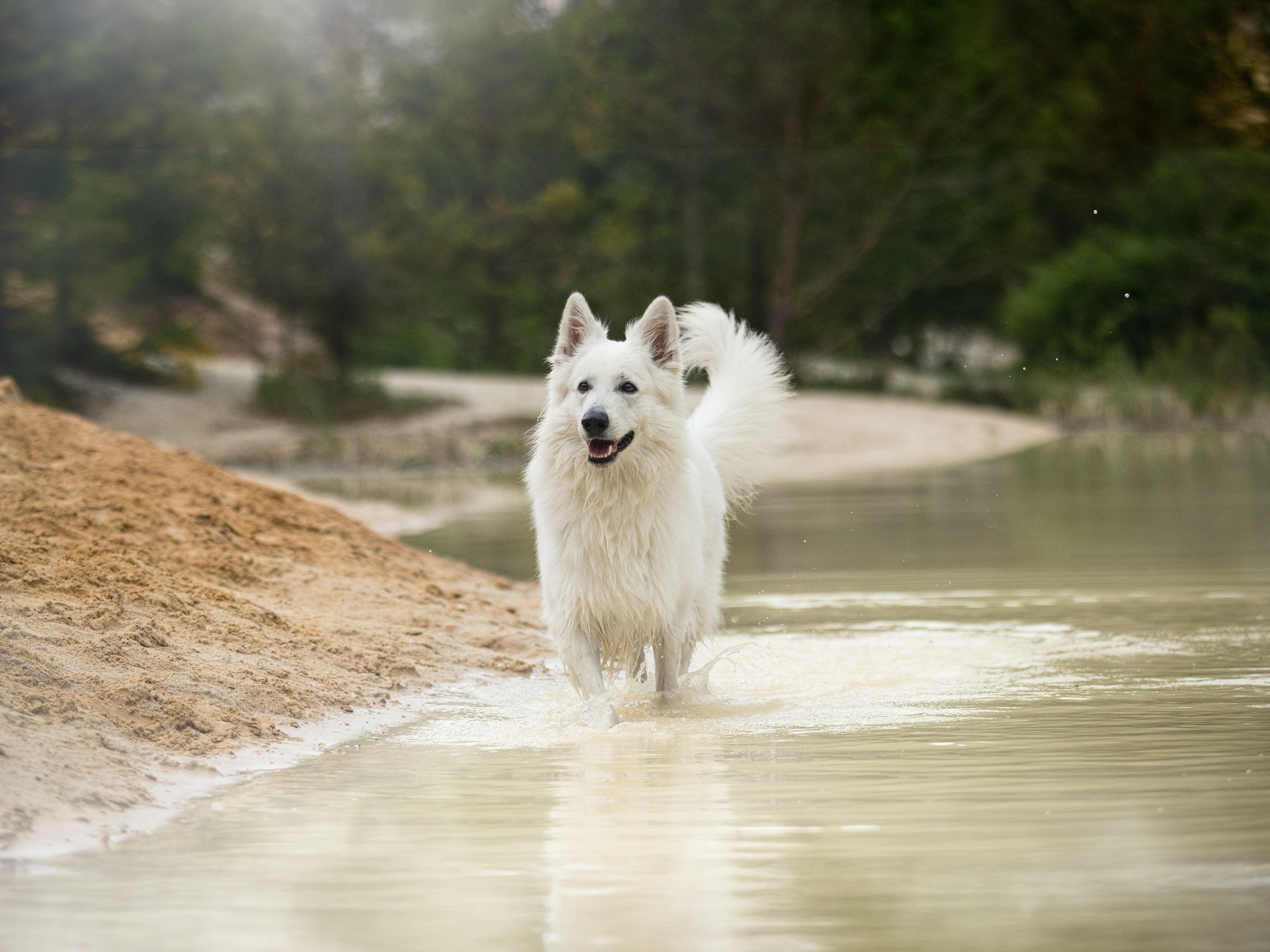 vodní focení — 5