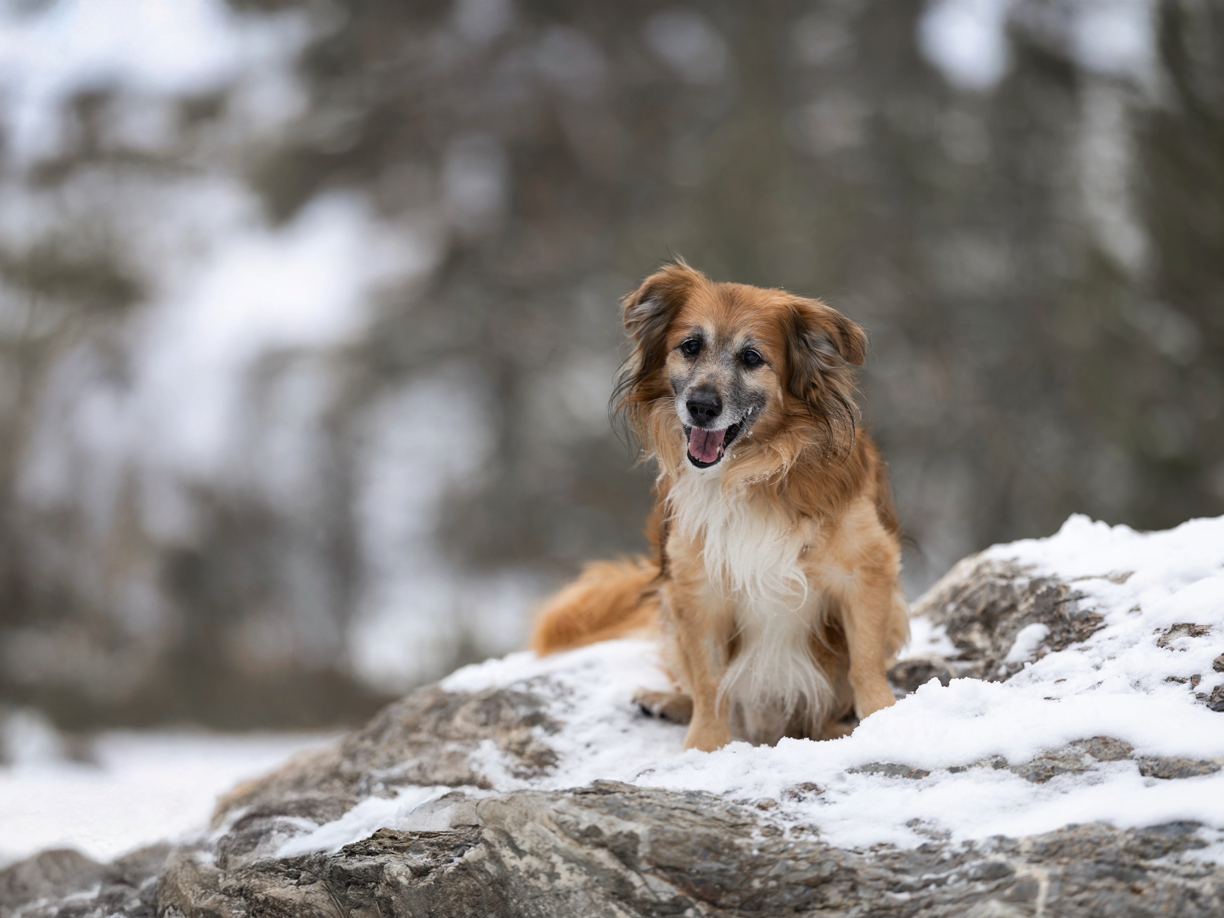 zimní radovánky — 3