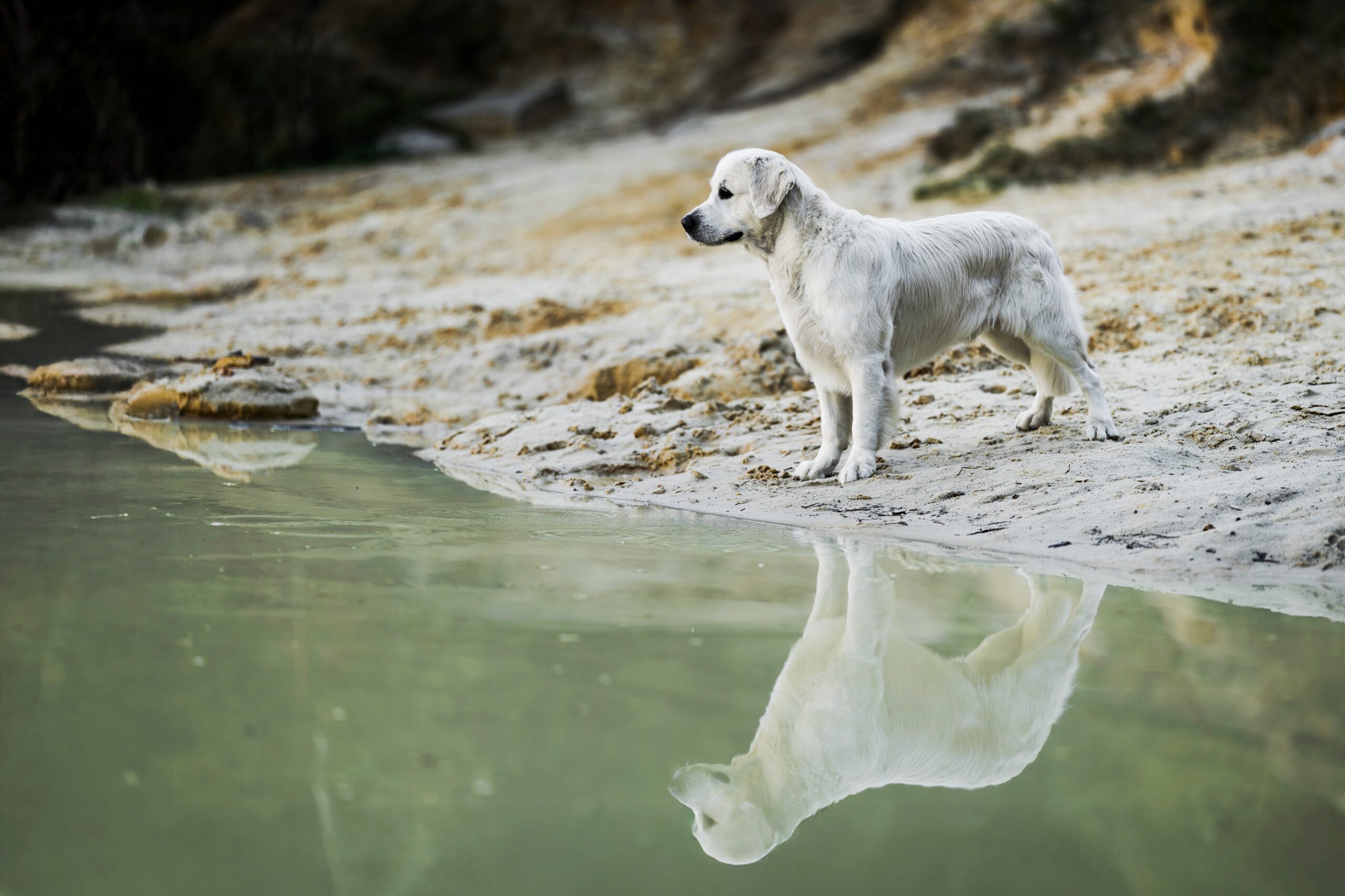 vodní focení — 3